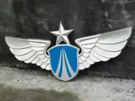 消防徽的尺寸和形状如何确定